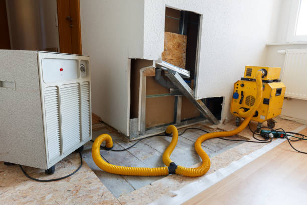 Best HVAC Mold Inspection and Cleaning  in Lamont, MI