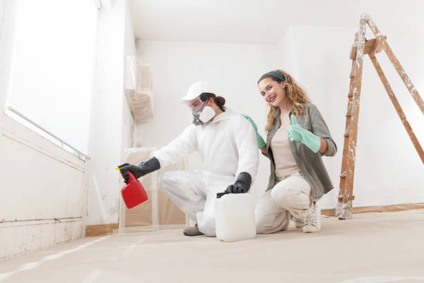 Mold Documentation for Insurance Claims in Lamont, MI